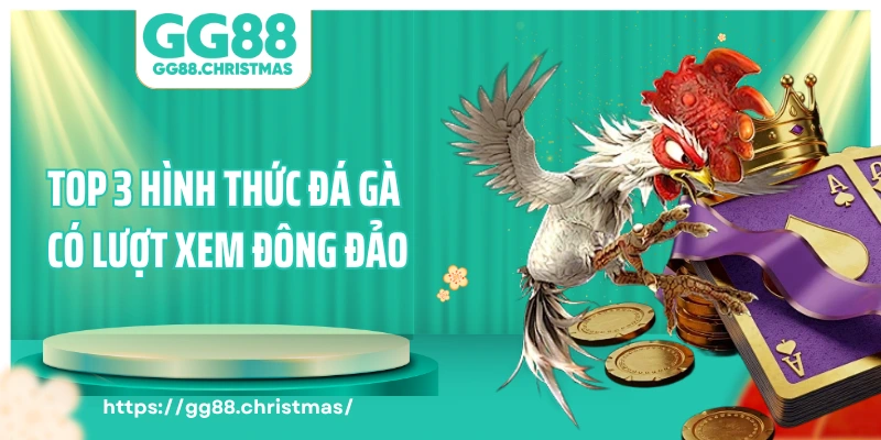 Top 3 hình thức đá gà GG88 có lượt xem đông đảo