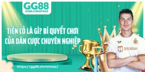 Tiền Cỏ Là Gì? Bí Quyết Chơi Của Dân Cá Cược Chuyên Nghiệp